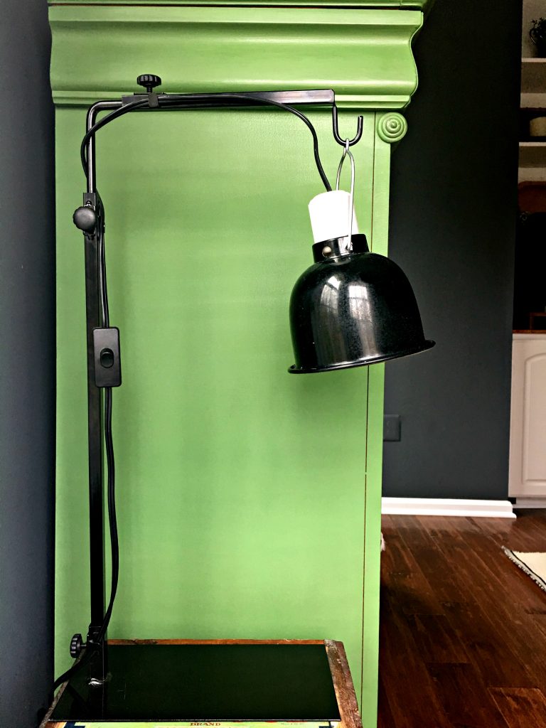 metal lamp with removal head from Goodwill